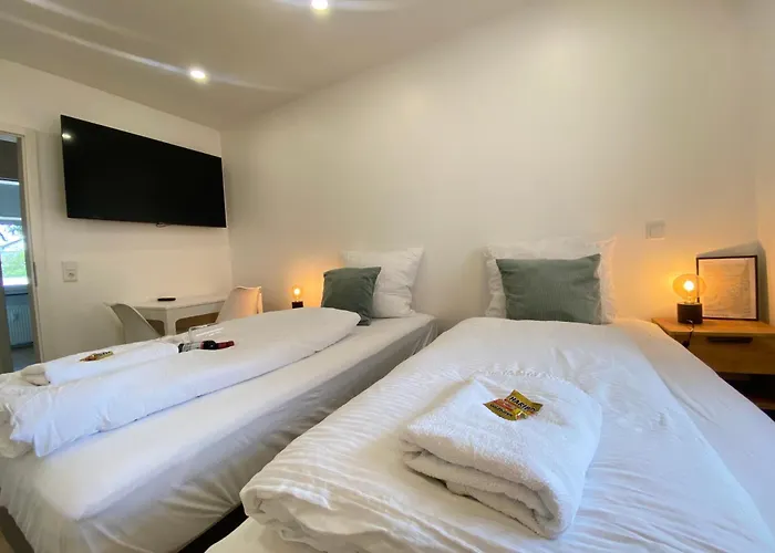 Lux Apartment Near Frankfurt!